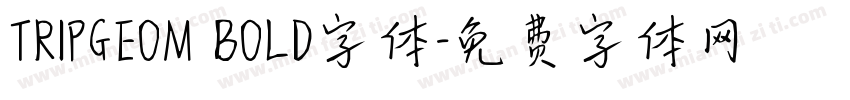 TRIPGEOM BOLD字体字体转换